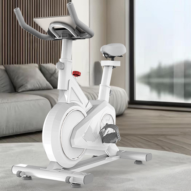 จักรยานปั่นอัจฉริยะหน้าแรกในร่ - Exercise Bike Magnetic Resistance บทวิจารณ์และราคา